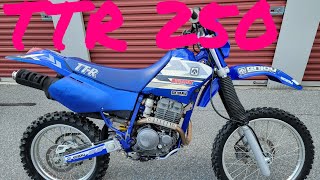 YAMAHA TTR250  Best Dirt Bike Ever [upl. by Chatterjee148]