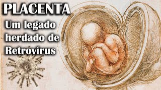 Como a Placenta Evoluiu de um Antigo Vírus Paleovirologia e Placentação EP 13 [upl. by Tarkany]