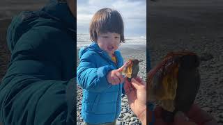 3Oct2024 Нашли медузу Пахнет селедкой 😅 Ruby Beach Olympic NP WA [upl. by Bouchard]