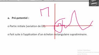 Le potentiel daction [upl. by Ehcnalb]