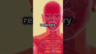 How Bronchoscopy Works 3D Animation shortsvideo facts trending shortsviral news world health [upl. by Rakel740]