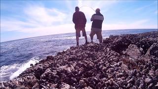 Ucluelet Rockfish and Lingcod Action July 2017 [upl. by Nera528]