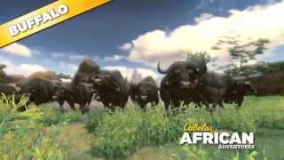 Cabelas African Adventures Cape Buffalo 360 [upl. by Blankenship]