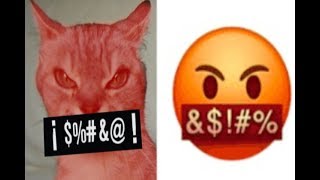 emoticones whatsapp en la vida real por mi gato emoticones real life emojis 2 parte [upl. by Anifur]