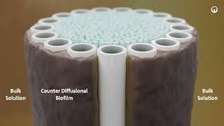 Explore ZeeLung Membrane Aerated Biofilm Reactor by Veolia [upl. by Stortz523]