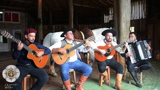 Pra Namoro  Quarteto Pampa  Clip Oficial  Programa De Rodeio Em Rodeio BamoAgarrá [upl. by Standish]