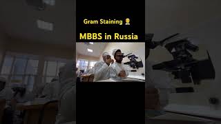 Gram StainingMbbs in Russia👨‍⚕️♥️ mbbsinrussia medicalcollege [upl. by Reitman]