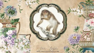 HOROSCOPO CHINO 2024 para el signo de la MONO 🐵 [upl. by Autum]