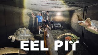 EEL PIT GUYS FULL HOUSE TOUR Cowturtle [upl. by Zared]