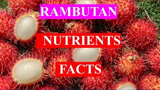 RAMBUTAN FRUIT  HEALTH BENEFITS AND NUTRIENTS FACTS [upl. by Odiug122]