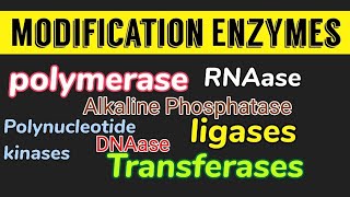 Modification Enzymes polymerase alkaline phosphatase transferase kinase ligase etc [upl. by Akina299]