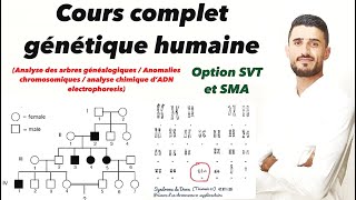 Cours complet la génétique humaine  arbre généalogique  anomalies chromosomiques  Électrophorèse [upl. by Brooke]