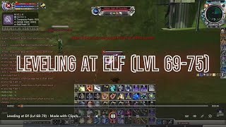 Leveling at Elf Lvl 6975  RF Online Playpark Desolation [upl. by Anniala]