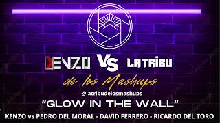 Kenzo vs La Tribu de los Mashups  Glow in the Wall Pink Floyd vs Cirez D Mashup [upl. by Gelhar750]