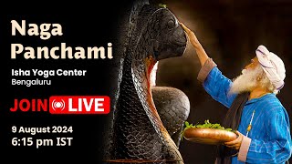 🔴LIVE  Naga Panchami  Isha Yoga Center  9 August 2024  615 PM  Bengaluru  Sadhguru Darshan [upl. by Higley994]