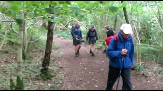 Sefton Road Ramblers B Group on Arnside Ramble 7 8 24 movie [upl. by Inness]