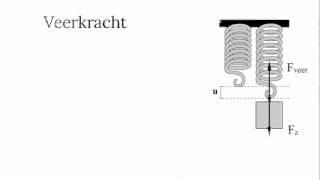 De veerkracht en de zwaartekracht [upl. by Yssak748]