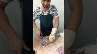 Sea Bass FISH CUTTING [upl. by Atsyrt]