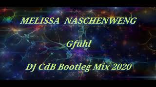 Melissa Naschenweng  Gfühl DJ CdB Bootleg Mix 2020 [upl. by Lananna]