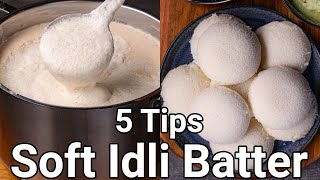 How to Make Soft Idli with 5 Basic Tips  Spongy Idli Batter with Wet Grinder  No Soda No Yeast [upl. by Kappenne497]