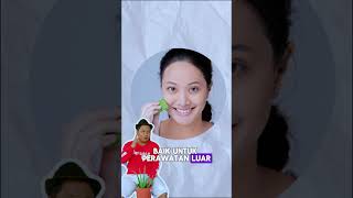 MANFAAT DAN ASAL LIDAH BUAYA HAYO APA  juraganlahan lidahbuaya aloevera [upl. by Wenonah]