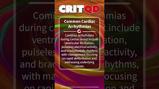 Common Cardiac Arrhythmias [upl. by Nicolau412]