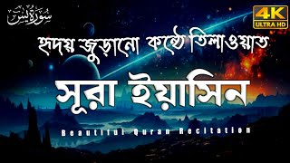 Surah Yaseen full Ep7  সবচেয়ে সেরা কন্ঠে তেলাওয়াত সূরা ইয়াসিন  Quran recitation Abdul Halim [upl. by Zakaria491]