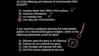 Mitochondrial dna inheritance [upl. by Yrral659]