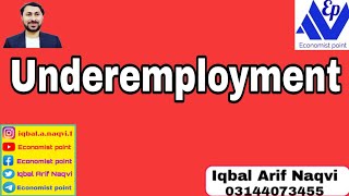 Underemployment  EconomistPoint [upl. by Etnomed]