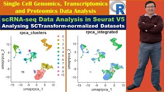 scRNAseq Data Analysis in Seurat V5 Analysing SCTransformnormalized Datasets [upl. by Nidnerb441]