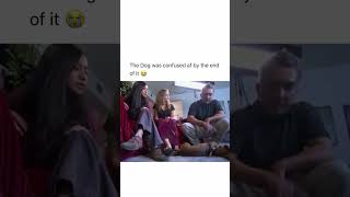 The dog 🐕 wait for end 😭 nshortstrumpnews usafunnyvideo [upl. by Canon]