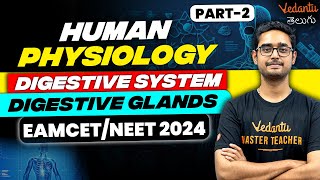 Digestive System Alimentary Canal  Human Physiology  Part 2  NEET 2024  EAMCET 2024 [upl. by Hamrnand]