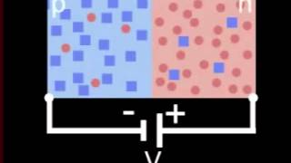 Polarisation dune jonction PN [upl. by Stuart]