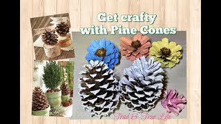 Get Crafty with Pine Cones wreaths repurpose ideas [upl. by Aruat]