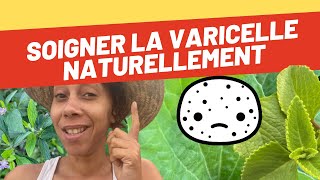 🍃Comment soigner la varicelle naturellement avec les plantes du jardin créole [upl. by Lihka]