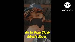 Me la paso chido  Alberto Reyes Audio Oficial [upl. by Nnayar]