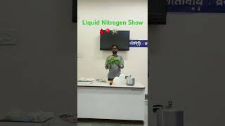 Liquid nitrogen showchemistry show mazik youtube shorts trendingeducation [upl. by Atenik10]