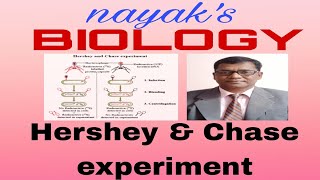 Hershey and Chase experiment [upl. by Haek]