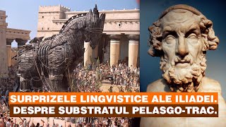 Surprizele lingvistice ale Iliadei Despre substratul pelasgotrac [upl. by Fasta820]