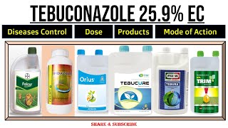 Tebuconazole 259 EC  Tebuconazole Fungicide  Uses  Dose  For which Diseases  Mode of Action । [upl. by Erich349]