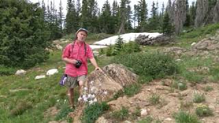 Wyoming Stromatolites [upl. by Hulbig]