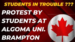 Why International Students are protesting at Algoma University Brampton Students in trouble visa [upl. by Lenora]