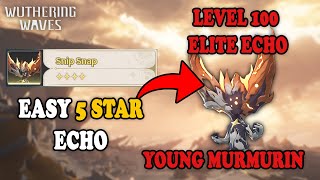 Easy 5 Star Echo Snip Snap  Young Murmurin  Wuthering Waves [upl. by Emmit]