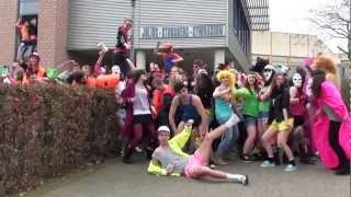 HARLEM SHAKE ORIGINAL  JSG [upl. by Nangatrad537]