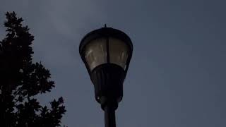 Streetlight burnt out  Parsons Woods Dr  Seffner FL [upl. by Remas]