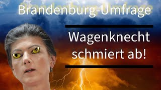 BrandenburgUmfrage Wagenknechts CDUDeal entgültig GESCHEITERT [upl. by Xonk]