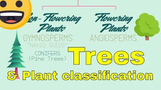 Difference between angiosperm and gymnosperm plants [upl. by Ahsasal]