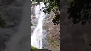 Palaruvi waterfalls AryankavuKollam [upl. by Anemij797]