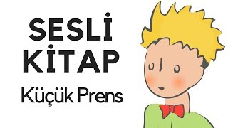 Küçük Prens Sesli Kitap Dinle Oku Tek Parça Masal Abbas Tekin [upl. by Amalia151]