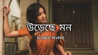 lofi উড়েছে মন।।ureche mon।।Bengali lyrics WhatsApp video।slowed reverd letest song video। Bengali [upl. by Ellenrahs]